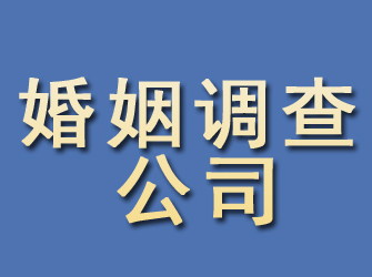 杜尔伯特婚姻调查公司