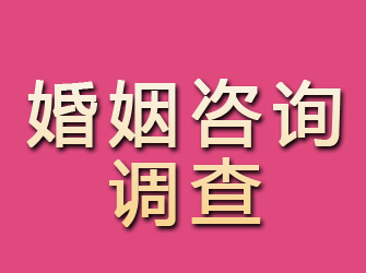 杜尔伯特婚姻咨询调查